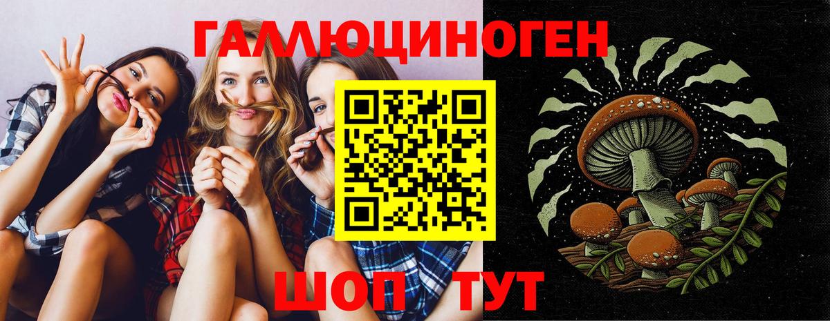 Галлюциногенные грибы GOLDEN TEACHER  Вход с VPN  Будённовск 